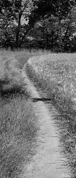Dresden - Keppgrund und Zuckerhut
