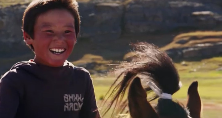 Kontakt herstellen mit einem Wildpferd