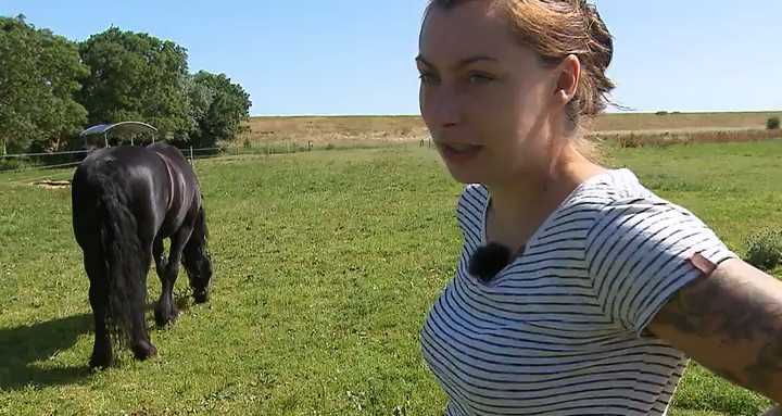 Rehazentrum für Friesen in Not