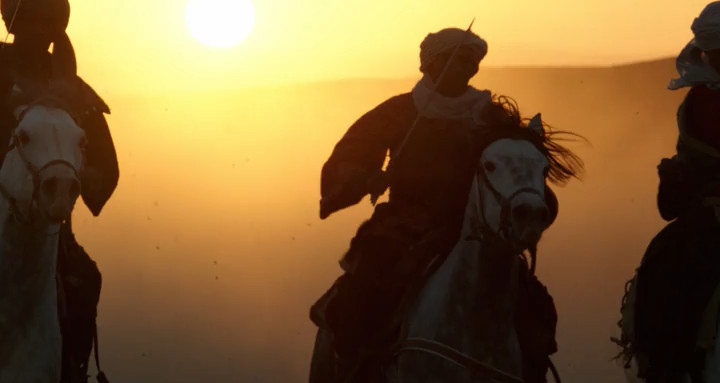 Herkunft der Lippizzaner