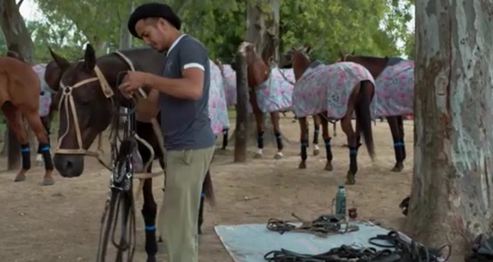 Tempo und Leidenschaft