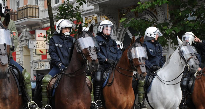 Polizeipferde im Einsatz