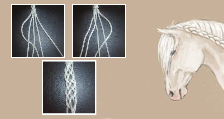 Flechten mit fünf Strängen - Bild: Spanischer Zopf