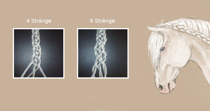 Flechten mit vier und sechs Strängen - Bild: Spanischer Zopf