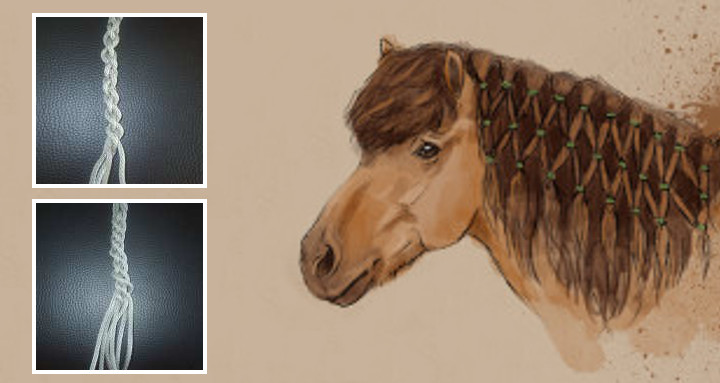 Rund flechten mit vier und sechs Strängen - Bild: Mähnennetz