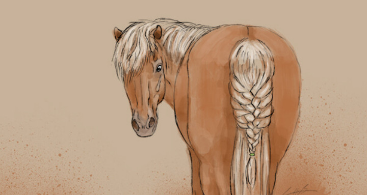 französischen Zopf - innnenliegende Flechtung