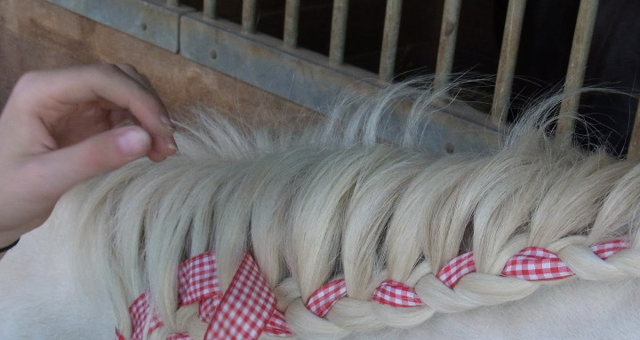 Mähnenzopf mit Bandeinflechtung