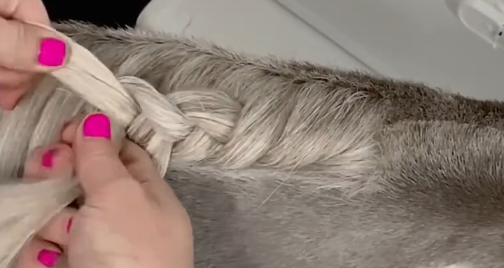 holländischer Zopf - Teil 1