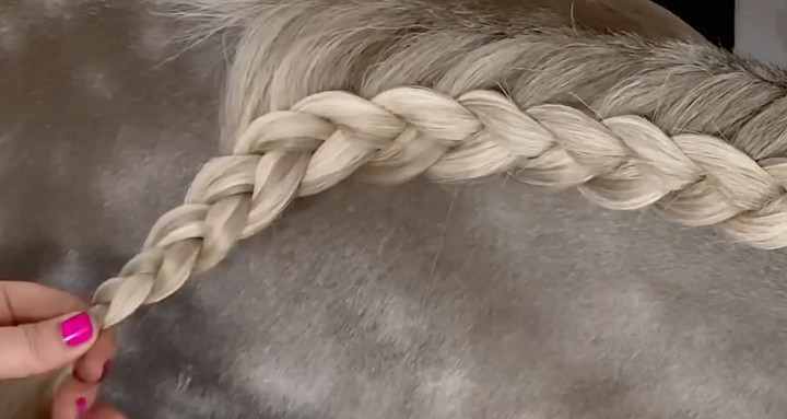 holländischer Zopf - Teil 3