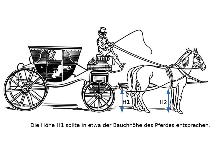 Pferd und Kutsche müssen zueinander passen
